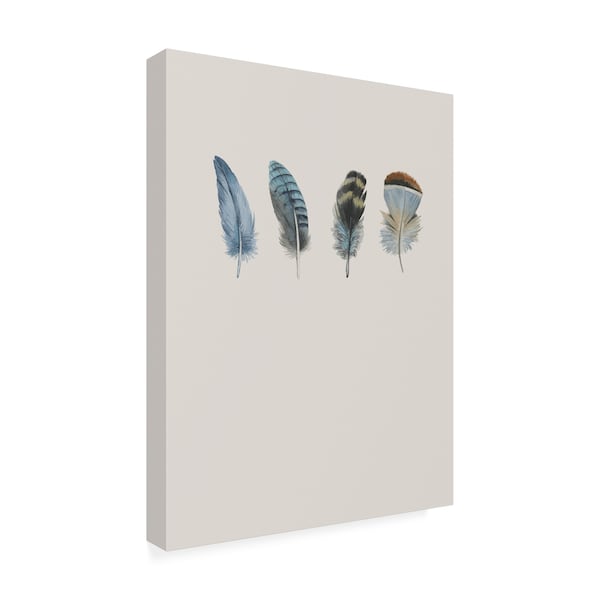 Incado 'Feather 11' Canvas Art,24x32